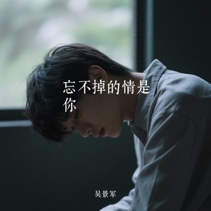 忘不掉的情是你 (伴奏)