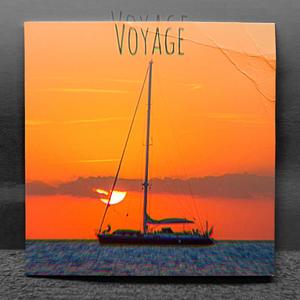 Voyage (feat. Albert Gr3y) (Explicit)