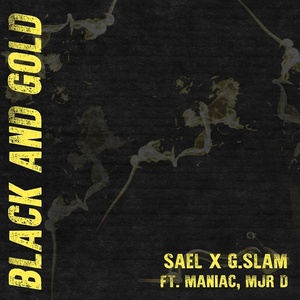 Black And Gold (黑金相间)