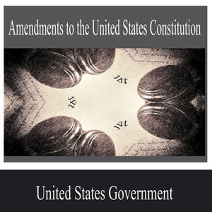 Amendments 14+19