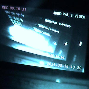 Frenchie - NAVY BLUE (Explicit)