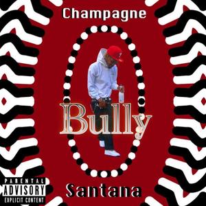 Bully (Explicit)