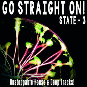 Ghetto Rulez (Questionable Bass Flow Mix)