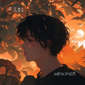 我曾经发了疯的想