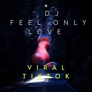 DJ FEEL ONLY LOVE