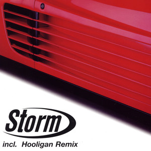 Storm (Da Hool Remix)