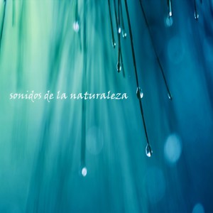 Sonido de Lluvia y Truenos Distantes