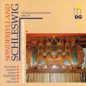 Schleswig Organ Landscape