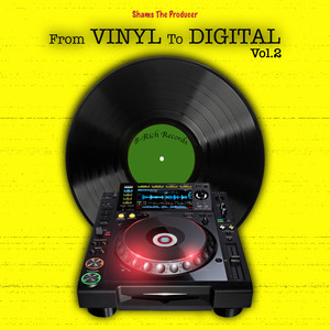 From Vinyl to Digital, Vol.2