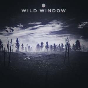 ivsxrxga - Wild Window (Explicit)