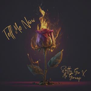 Sotty Gu (Tell Me Now (feat. Mr Guwop) [Explicit]