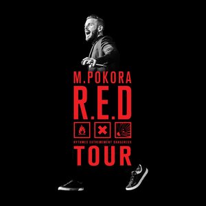 Juste une photo de toi (R.E.D. Tour Live)