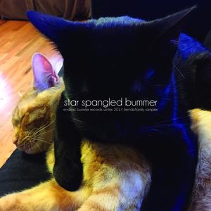 Star Spangled Bummer: An Endless Bummer Winter 2014 Friends/Family Sampler (Explicit)