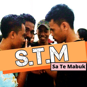 S.T.M (Sa Te Mabuk)