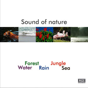 Sound Of Nature