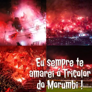 Eu sempre te amarei ó Tricolor do Morumbi