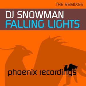 Falling Lights (The Remixes)