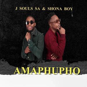 Amaphupho