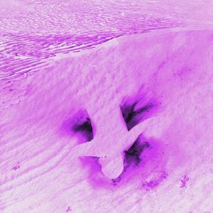 VISION (feat. jiann) (Explicit)