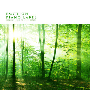 오늘 하루를 돌아보며 (Looking Around Today) (Nature Ver.)