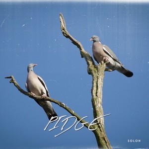 Pidge (Radio Edit)