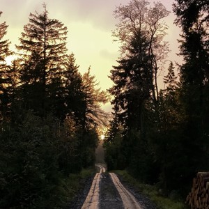 Ty sama víš DELUXE