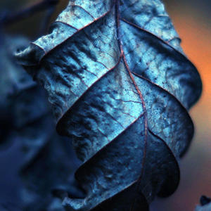 Hold Em Close. (feat. Jay slays) (Explicit)