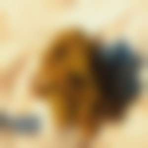 MAS POLEN (Explicit)