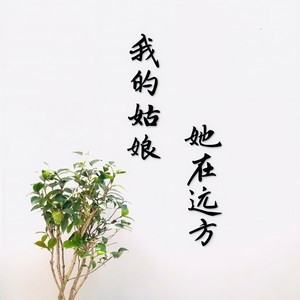 我的姑娘 她在远方