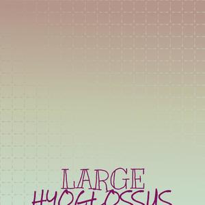 Large Hyoglossus