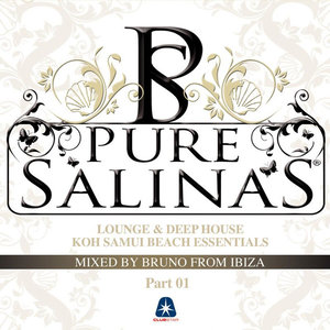 Pure Salinas Vol. 2 - Compiled By Bruno from Ibiza