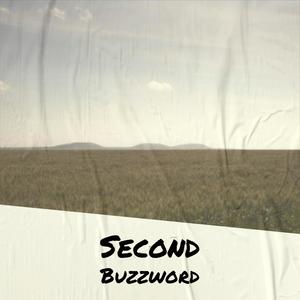 Second Buzzword