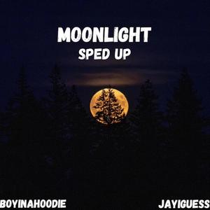 Moonlight (feat. jayiguess) [Sped Up]