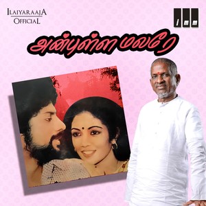 Anbulla Malare (Original Motion Picture Soundtrack)