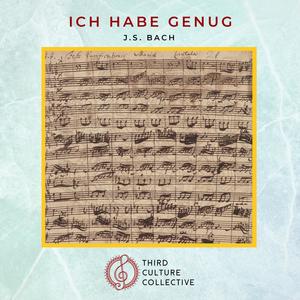 Ich habe genug