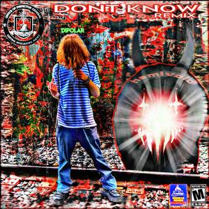 Don't Know (feat. Hemivoid) [Remix] [Explicit]