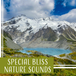 Special Bliss Nature Sounds: Calm Music for Relaxation, Healthy Sleep, Meditation & Stillness, Tranquil Oasis, Power of Mind, Little Reflections, Zen Buddha, Body Massage