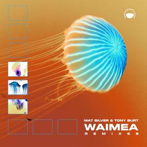 Waimea (Andreas Hjorth Remix 2020 Remaster)