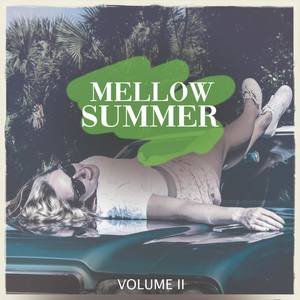 Mellow Summer, Vol. 2 (Just The Finest In Progressive House & Electro House Music)