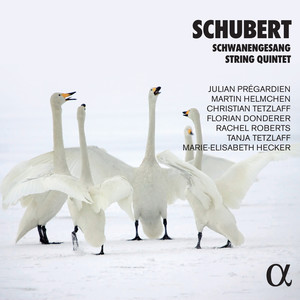 Schwanengesang, D. 957 - Ständchen (艺术歌曲《天鹅之歌》，D. 957)