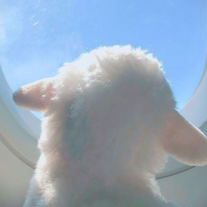 繁华之处 (翻自 网易音乐人)