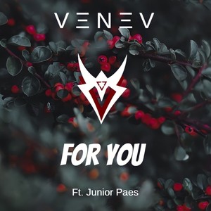 For You (feat. Junior Paes)