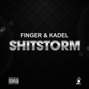 Shitstorm (Remix)