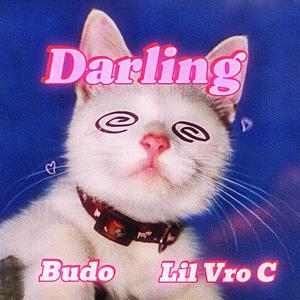 DARLING (feat. LIL VRO C) (Explicit)