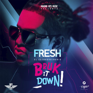 Bruk It Down (Explicit)