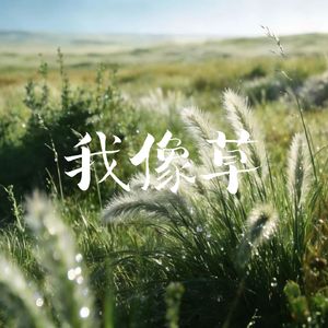 我像草-卡带森林