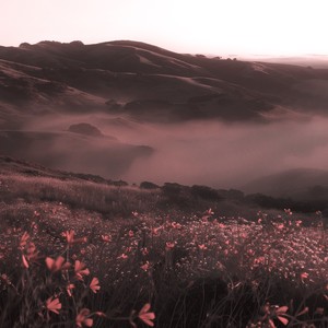 Something About Memories