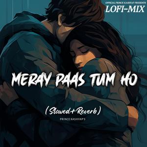 Meray Paas Tum Ho (Slowed+Reverb)