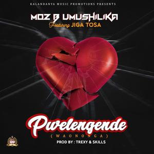 Waononga(feat. Jiga Tosa)