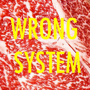 Wrong System (Nico Raibak Remix)